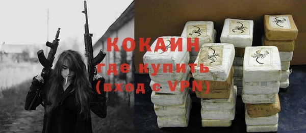 индика Михайловск