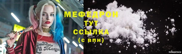 индика Михайловск