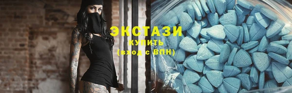 индика Михайловск