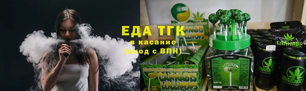 индика Михайловск