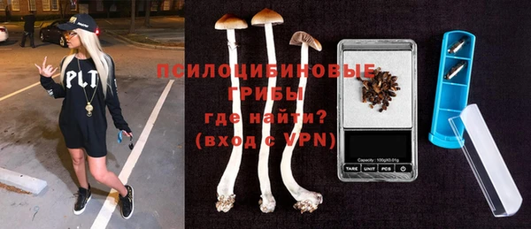 индика Михайловск
