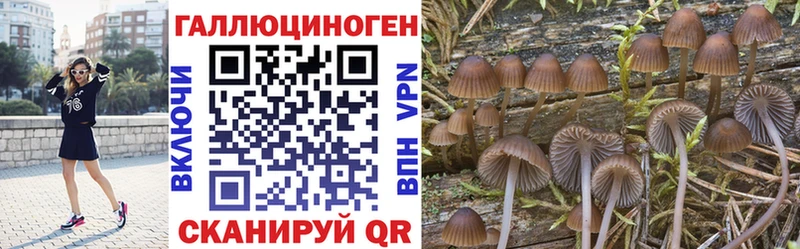 как найти наркотики  Касли  Галлюциногенные грибы GOLDEN TEACHER 